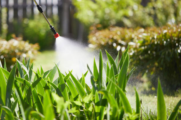 Tamper-Resistant Bait Stations for Rodents in Granby