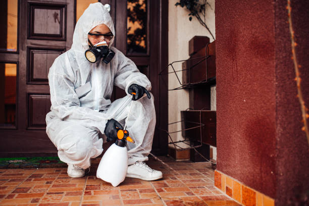 Attic and Crawl Space Rodent Treatment in Granby